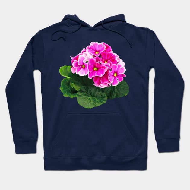 Pink Geranium Cluster Hoodie by SusanSavad